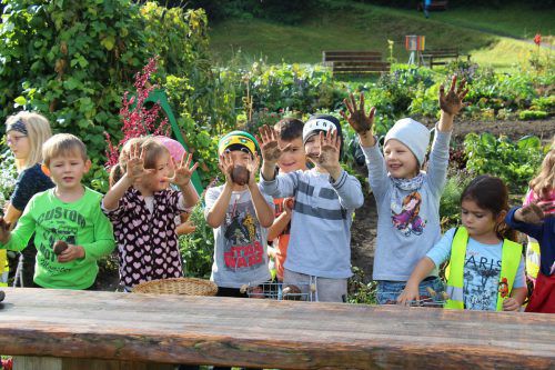 Kleine Selbstversorger am Werk: die Kinder des Kindergartens Bezau bei der Kartoffelernte. 
               
              kindergarten bezau/astrid kaufmann