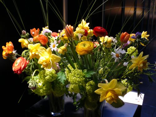 Blumen Für Die Wohnung - Mellowcement