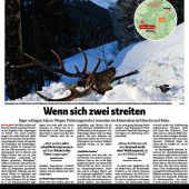 Verendete Hirsche wühlen auf