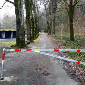 Behinderung durch Waldarbeiten