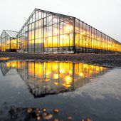 Ein unerschöpfliches Energiereservoir