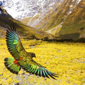 ab 10.30 Uhrnaturmuseum st. gallen