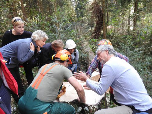 In der Waldschule Bodensee wird den Interessierten der Wald in seinen verschiedenen Facetten und Funktionen nähergebracht. Ehreiser