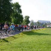 Vier Trassen in der engeren Wahl