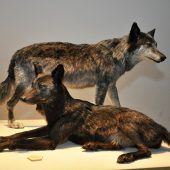 Kultur für Menschen mit Demenz