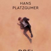 Heller Roman mit dunklen Schatten