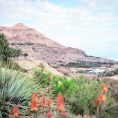 Israel: Vielfältig und gesund