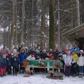 Waldtieren auf der Spur