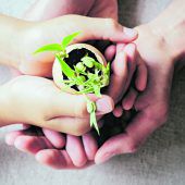 Friedenserziehung nach Maria Montessori