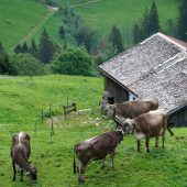 Wichtige Investitionen in die Zukunft der Landwirtschaft