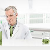 Nischenanbieter Deurowood verdreifacht möglichen Output