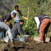 Ein gemeinsamer Garten für alle
