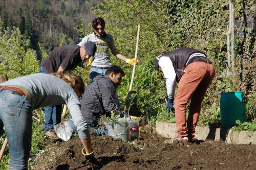 Interessierte Montafoner sind herzlich eingeladen, beim kostenlosen Gemeinschaftsgartenprojekt auf Maria Rast mitzuwirken.  MEZ