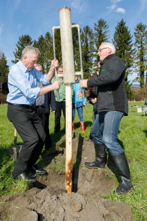 LR Erich Schwärzler und der Obstbaureferent der LK Ulrich Höfert beim Pflanzen der ersten Bäume. VLK