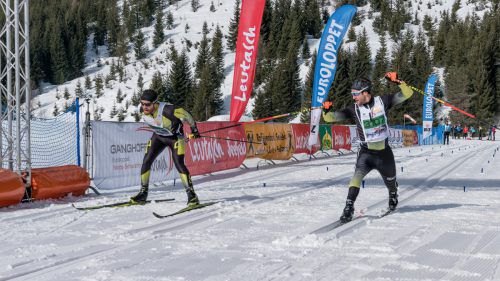 Martin Sutter (links) musste sich beim Zielsprint knapp geschlagen geben. Olympiaregion Seefeld/wolf