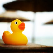 Badeentchen schwimmen geradezu in Bakterien