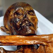 Der Ötzi im Ausstellungsstress