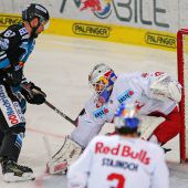 Salzburg und Capitals startenmit Erfolgen
