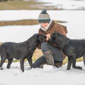 Hunde brauchen klare Regeln