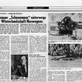 Eine Schneemaus im Sammlerparadies
