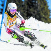 Stockerlplätze für Olivier und Salzgeber