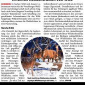 Probleme mit Wald und Wild