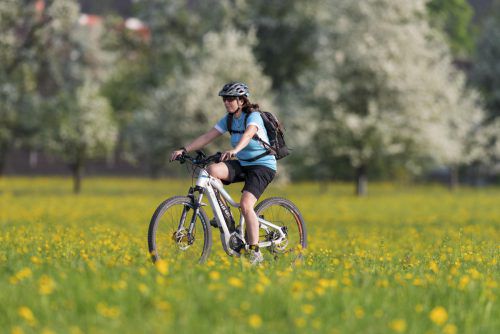 Auf den Radwegen sind immer mehr E-Biker unterwegs. VN/stiplovsek