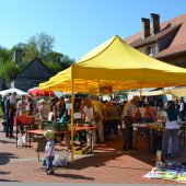 Gelungener TAUSCHmarkttag