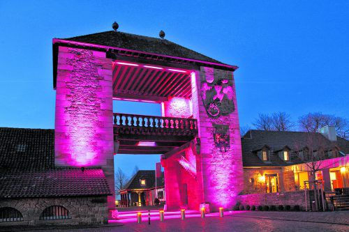 Das Weintor wird im Frühjahr rosa angeleuchtet. Rolf Goosmann, Südliche Weinstrasse e.V.