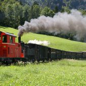 Wälder Museumsbähnle dampft in die Zukunft