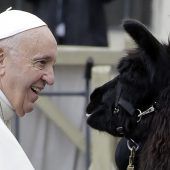 Der Papst, die Lamas und die Wollsocken