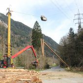 Achtung: Baum fliegt!