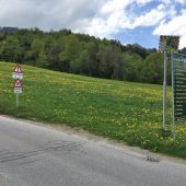 In Bürserberg wird aus Rot Grün