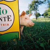 Mehr Bio will die heimische Landwirtschaft