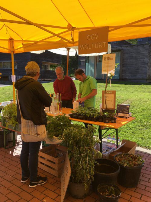 Pflanzen- und Saatgut-Tauschmarkt am Wolfurter Marktplatz am kommenden Sonntag von 10 bis 16 Uhr. ogv Wolfurt