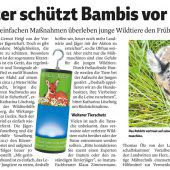 Sorge um Bienen