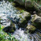 Das Wasser kennenlernen