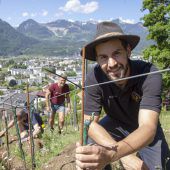 Der Neowinzer