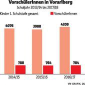 Die Schulreifeprüfung