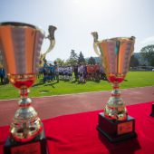 BG Feldkirch gewinnt