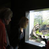 Eintauchen in Erinnerungen