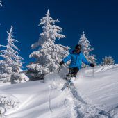 Wälder Wintertourismus über Millionenmarke