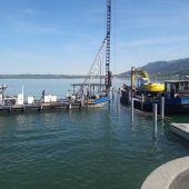 Neuer Badesteg für Bregenz