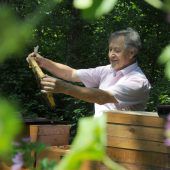 „Blühen, Ernten – nur mit Bienen!“