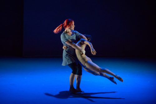 Motionhouse steht vor allem für eine Symbiose von zeitgenössischem Tanz, Performance, Theater, Zirkus, Akrobatik, Musik und Film. Körperlichkeit und unglaubliche Bilderwelten stehen im Vordergrund. dan tucker