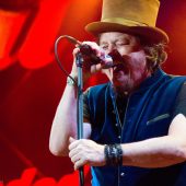 Zucchero live