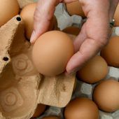 Erneut Gifteier im Handel