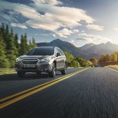 Stämmige Kombi-Statur mit hohem Offroad-Leistungspotenzial