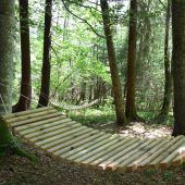Tobelweg wurde neu gestaltet