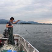 Ein „böser“ Fisch wird weniger